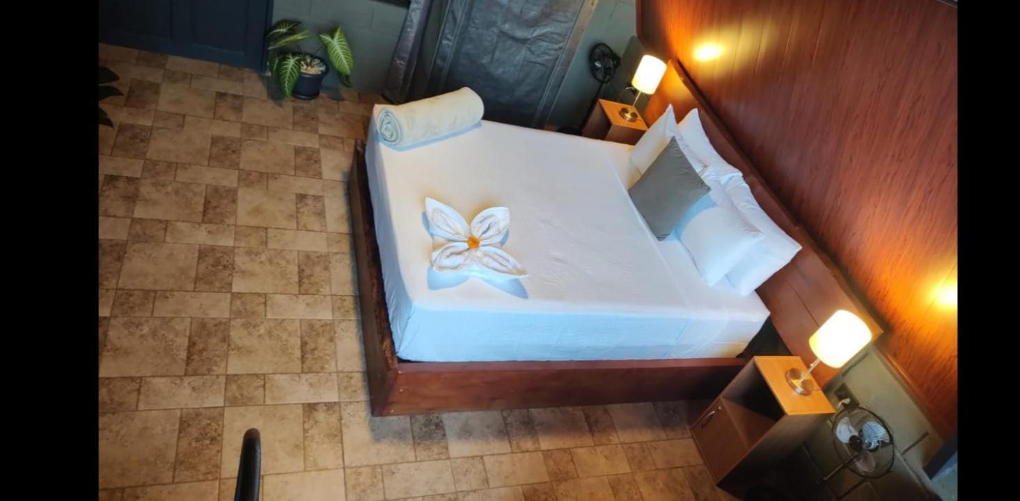 Yarumo Lodge, Rio Celeste Black Chalets ビハグア エクステリア 写真