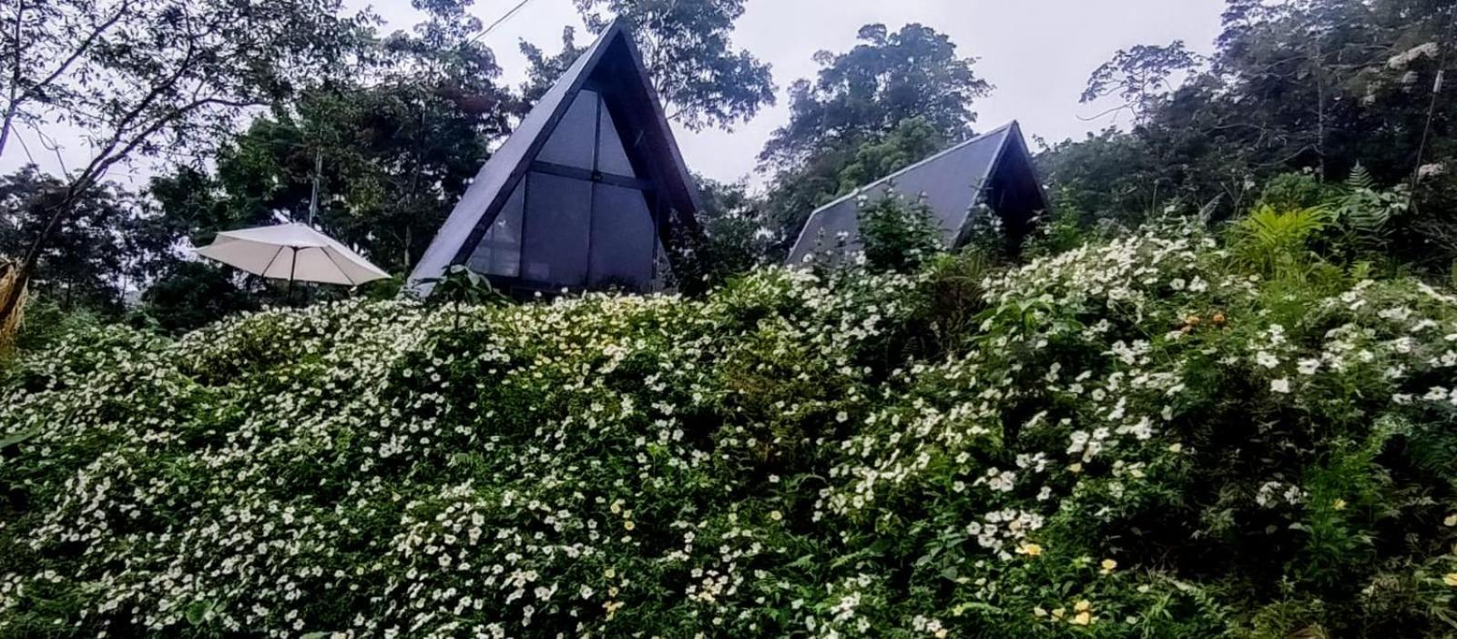 Yarumo Lodge, Rio Celeste Black Chalets ビハグア エクステリア 写真