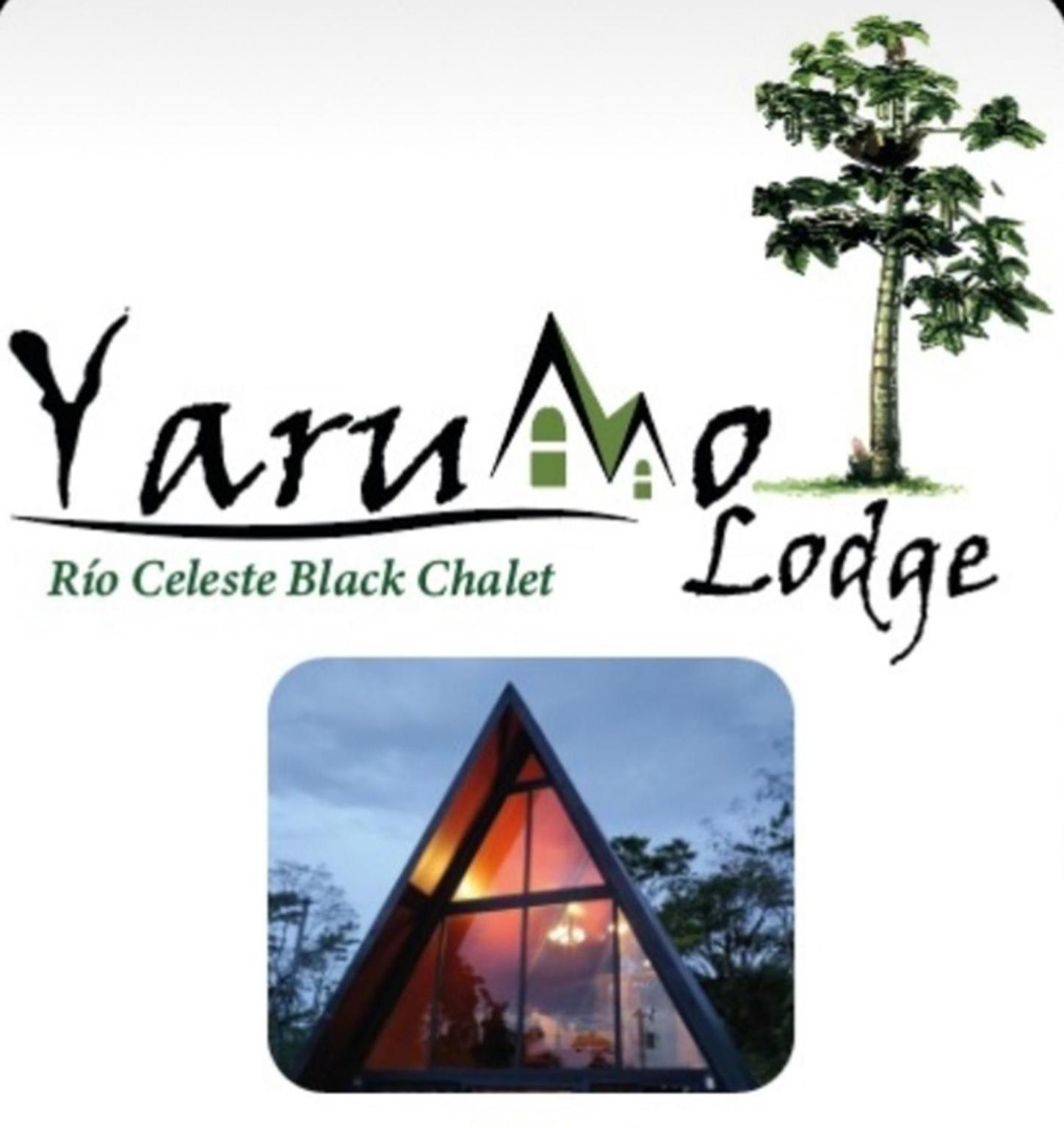 Yarumo Lodge, Rio Celeste Black Chalets ビハグア エクステリア 写真