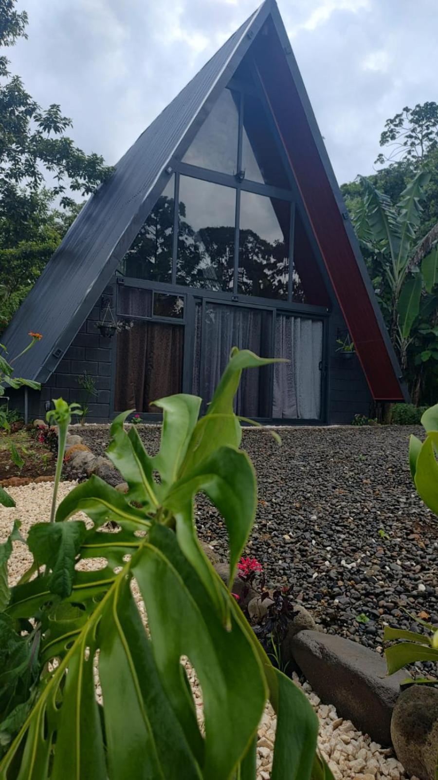 Yarumo Lodge, Rio Celeste Black Chalets ビハグア エクステリア 写真
