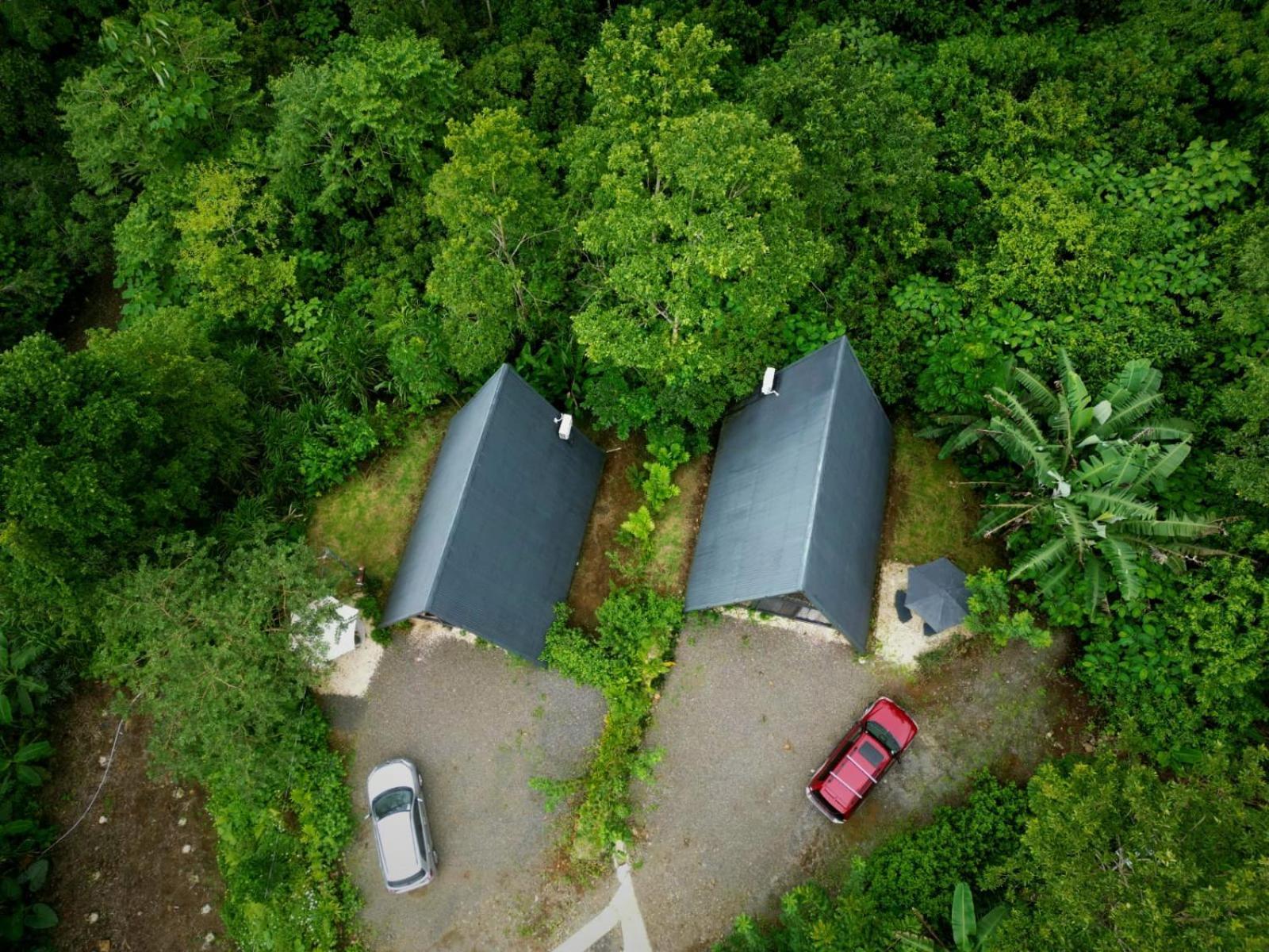 Yarumo Lodge, Rio Celeste Black Chalets ビハグア エクステリア 写真
