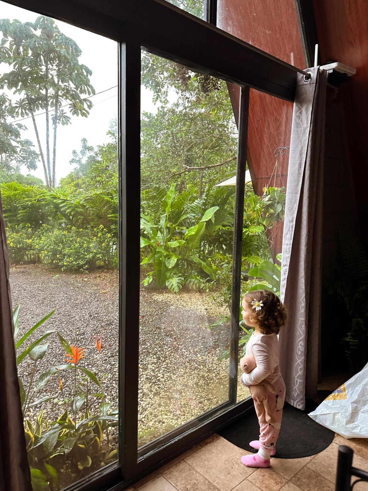 Yarumo Lodge, Rio Celeste Black Chalets ビハグア エクステリア 写真